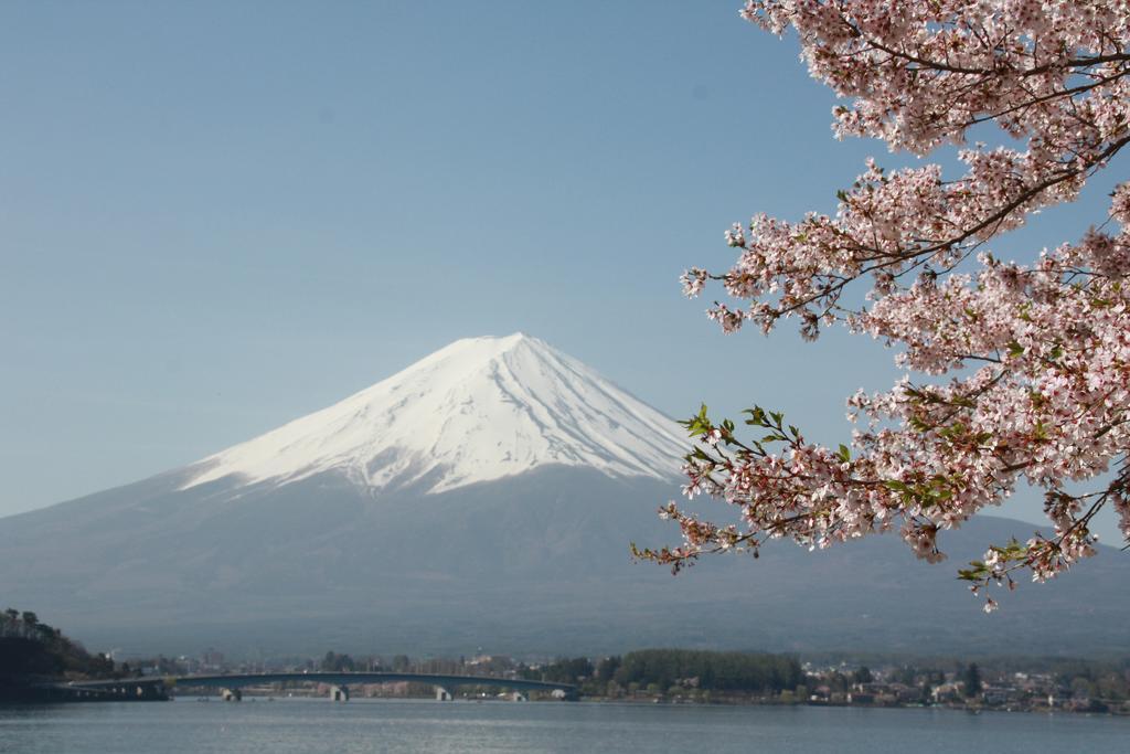 富士河口湖町 御師の家　うめや アネックスゲストハウス エクステリア 写真